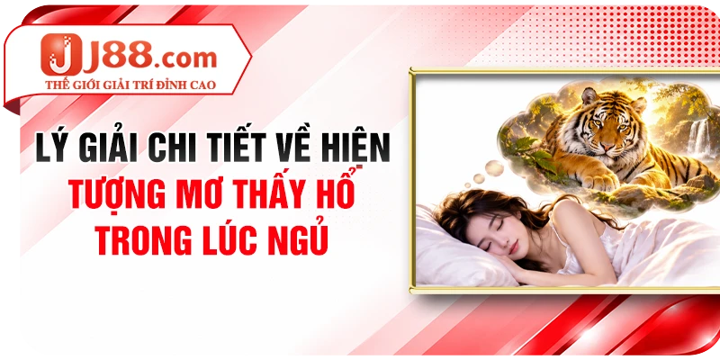 Lý giải chi tiết về hiện tượng mơ thấy hổ trong lúc ngủ