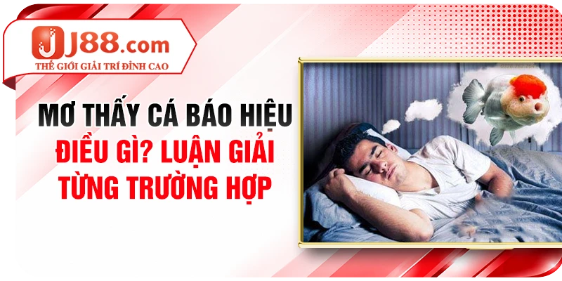 Mơ Thấy Cá Báo Hiệu Điều Gì? Luận Giải Từng Trường Hợp